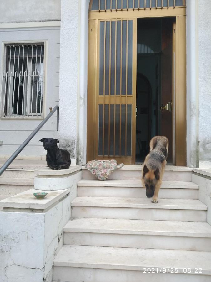 베로나 Chez Martha B&B 외부 사진