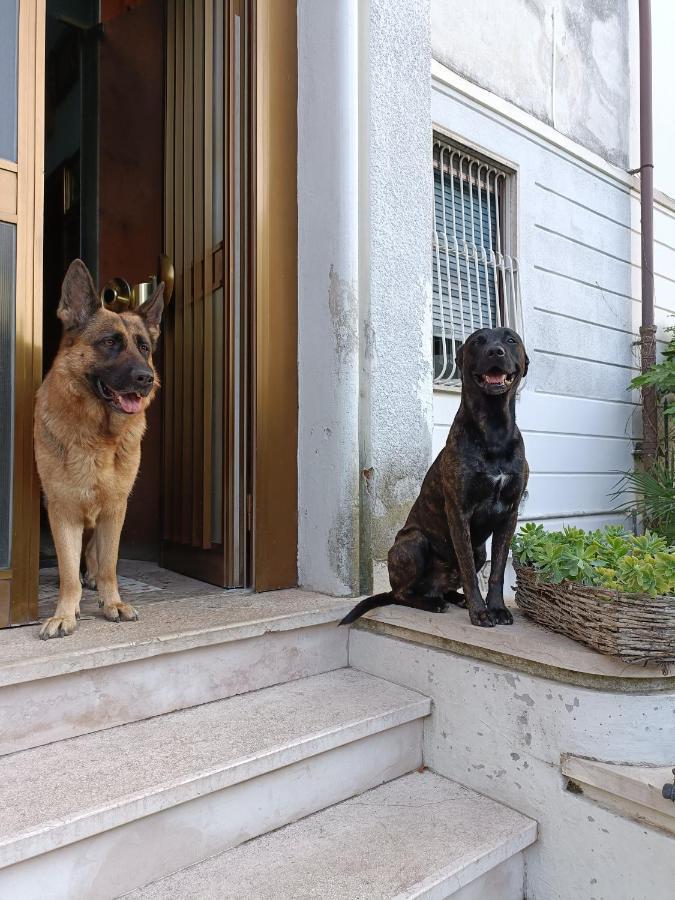 베로나 Chez Martha B&B 외부 사진